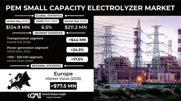 PEM Small Capacity Electrolyzer Market