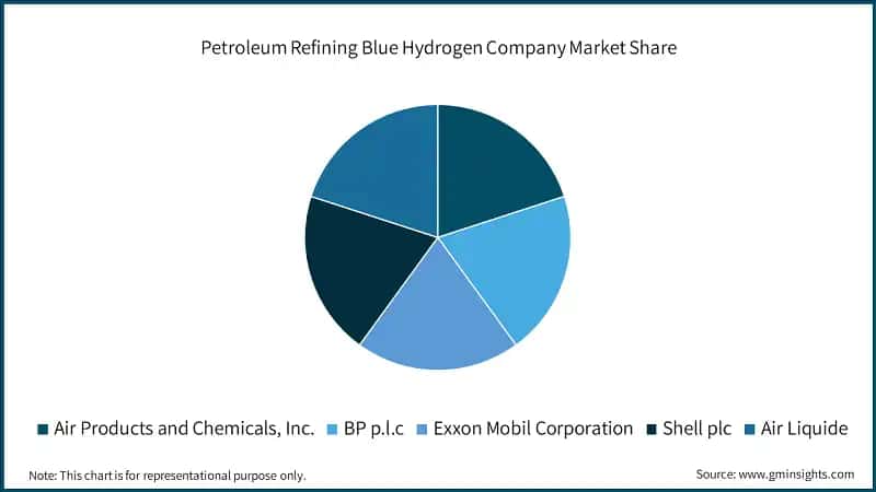 Petroleum Refining Blue Hydrogen Company Market Share