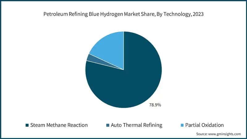 Petroleum Refining Blue Hydrogen Market Share, By Technology, 2023