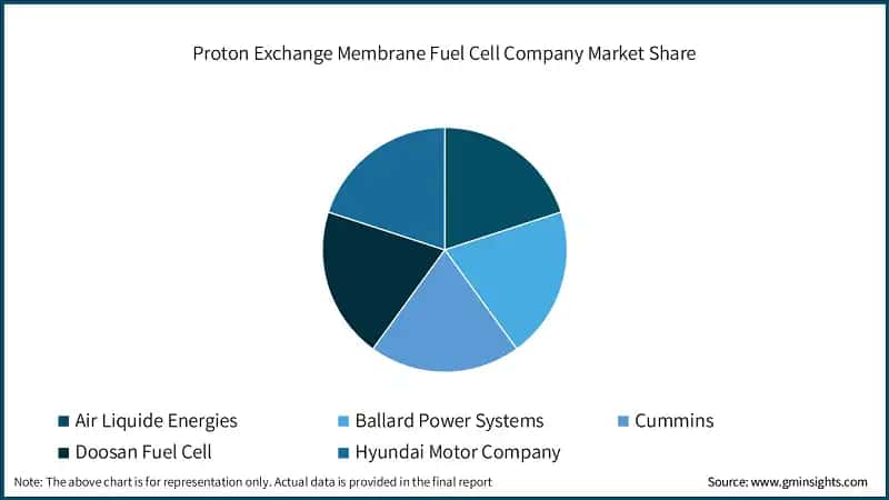 Proton Exchange Membrane Fuel Cell Company Market Share