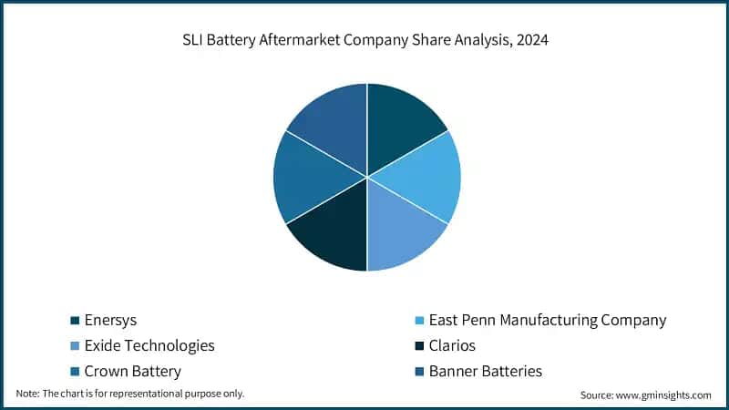 SLI Battery Aftermarket Company Share Analysis, 2024