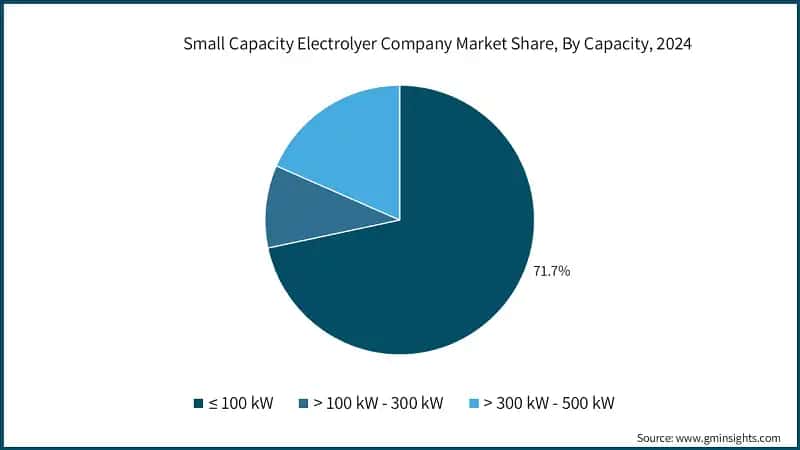  Small Capacity Electrolyer Company Market Share, By Capacity, 2024