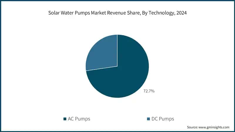 Solar Water Pumps Market Revenue Share, By Technology, 2024