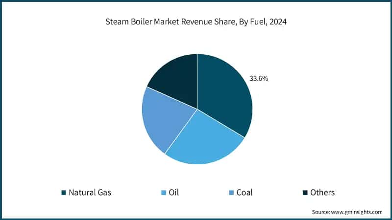 Steam Boiler Market Revenue Share, By Fuel, 2024