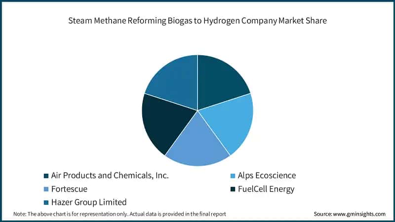 Steam Methane Reforming Biogas to Hydrogen Company Market Share