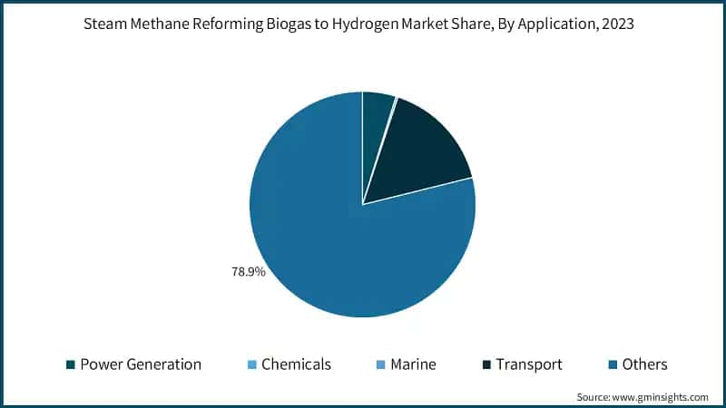 Steam Methane Reforming Biogas to Hydrogen Market Share, By Application, 2023