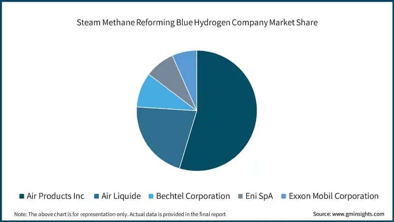 Steam Methane Reforming Blue Hydrogen Company Market Share