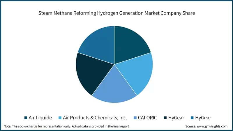 Steam Methane Reforming Hydrogen Generation Market Company Share