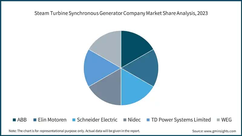 Steam Turbine Synchronous Generator Company Market Share Analysis, 2023