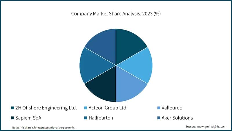 Company Market Share Analysis, 2023 (%)