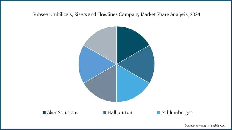Subsea Umbilicals, Risers and Flowlines Company Market Share Analysis, 2024