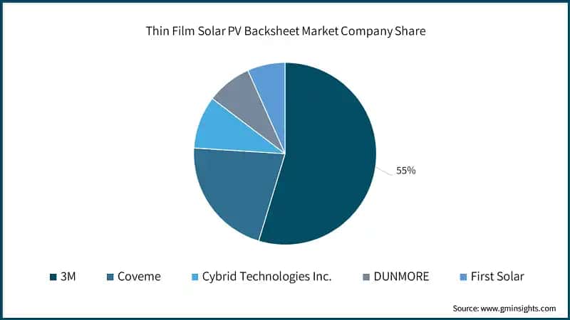 Thin Film Solar PV Backsheet Market Company Share