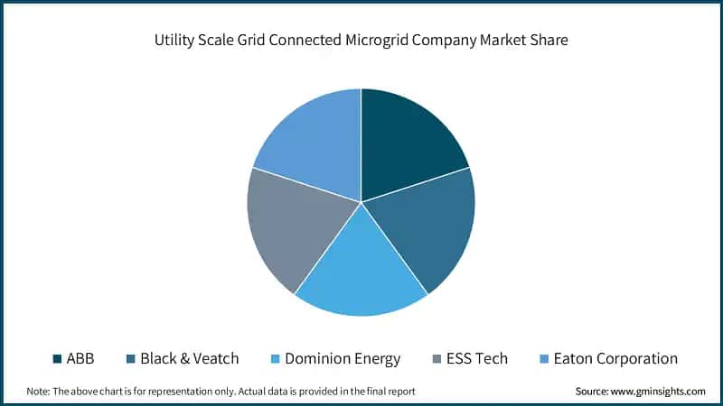 Utility Scale Grid Connected Microgrid Company Market Share