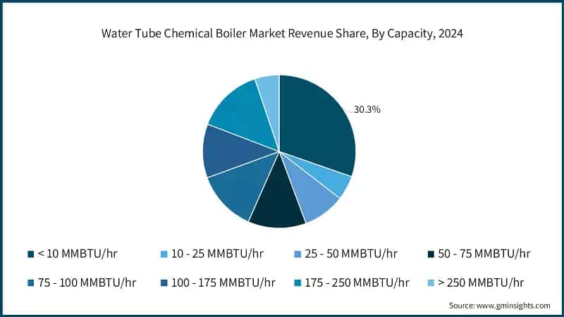 Water Tube Chemical Boiler Market Revenue Share, By Capacity, 2024