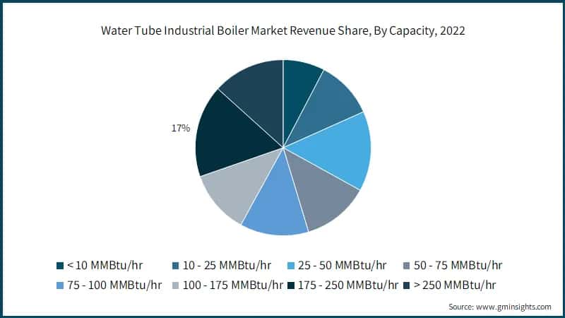 Water Tube Industrial Boiler Market Revenue Share, By Capacity, 2022