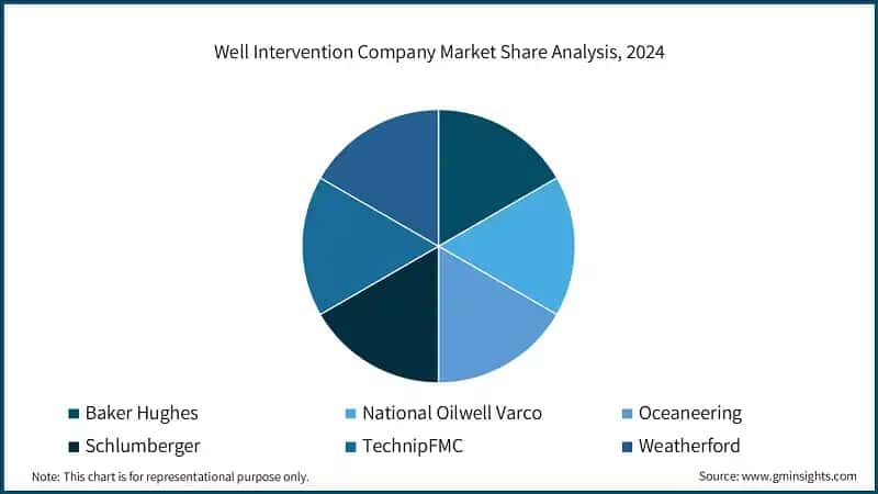 Well Intervention Company Market Share Analysis, 2024