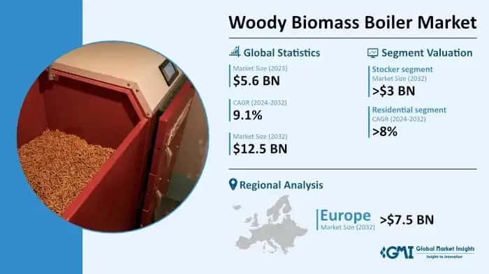 Woody Biomass Boiler Market