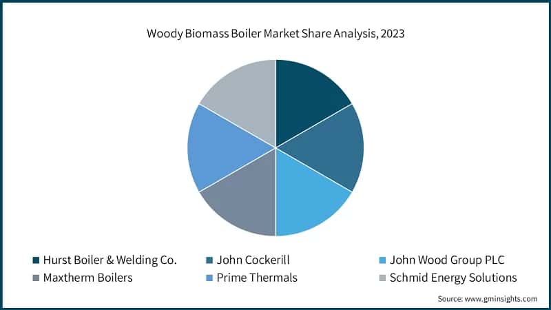 Woody Biomass Boiler Market Share Analysis, 2023