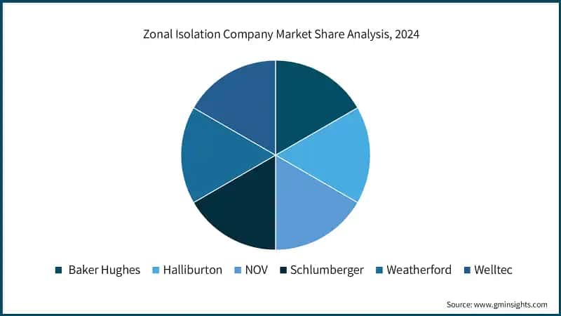 Zonal Isolation Company Market Share Analysis, 2024