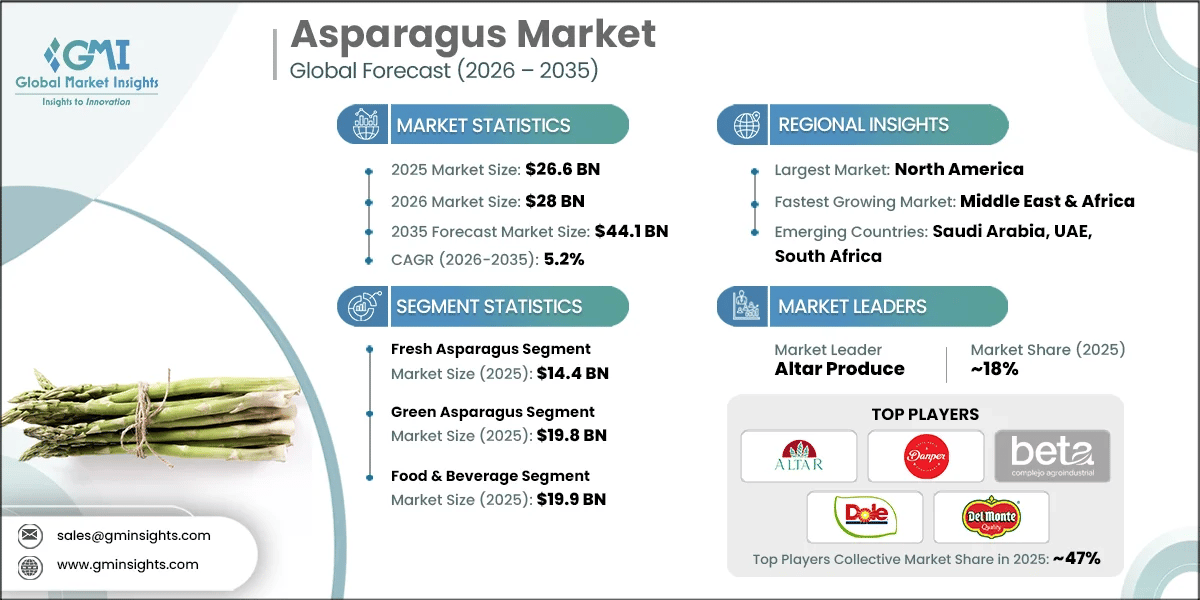 Report di ricerca sul mercato degli asparagi