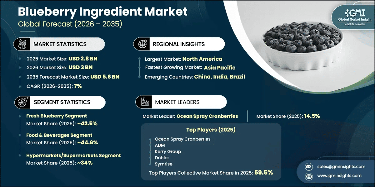 Blueberry Ingredient Market Research Report