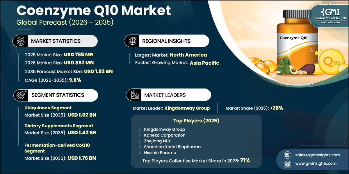 Coenzyme Q10 Market Research Report
