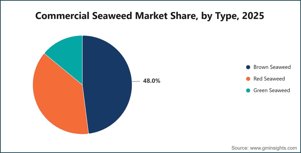 Commercial Seaweed Market Share, by Type, 2025