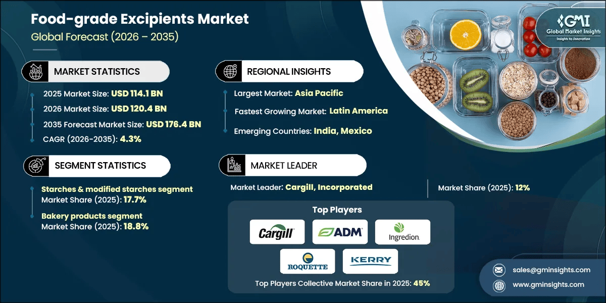 Food-grade Excipients Market Research Report.webp