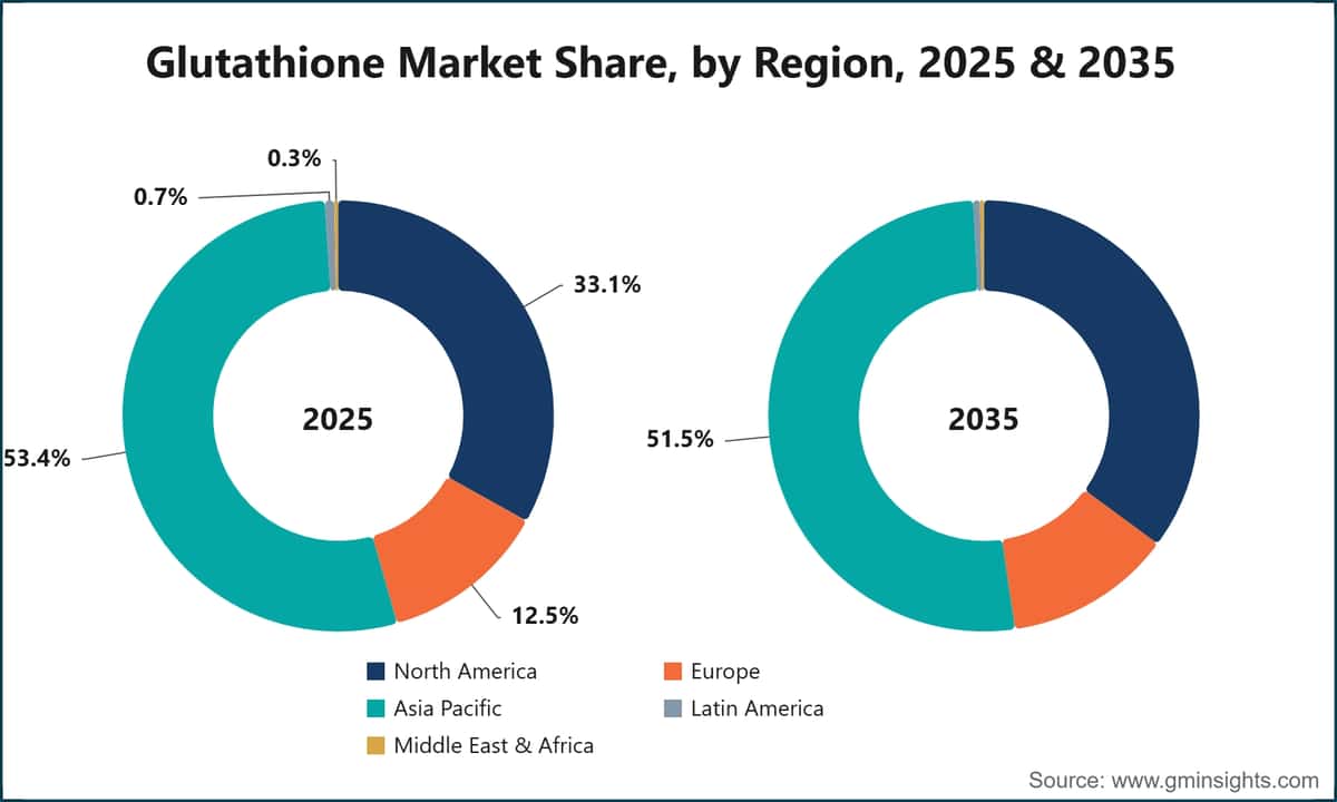 Glutathione Market Size, Growth Report 2026-2035