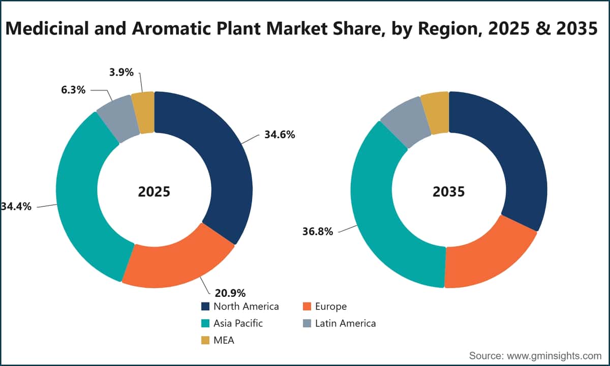 Medicinal and Aromatic Plant Market Share, by Region, 2025 & 2035