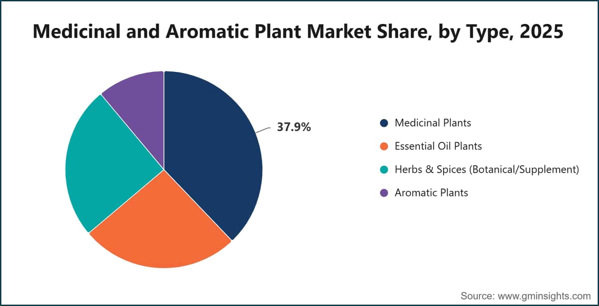 Medicinal and Aromatic Plant Market Share, by Type, 2025