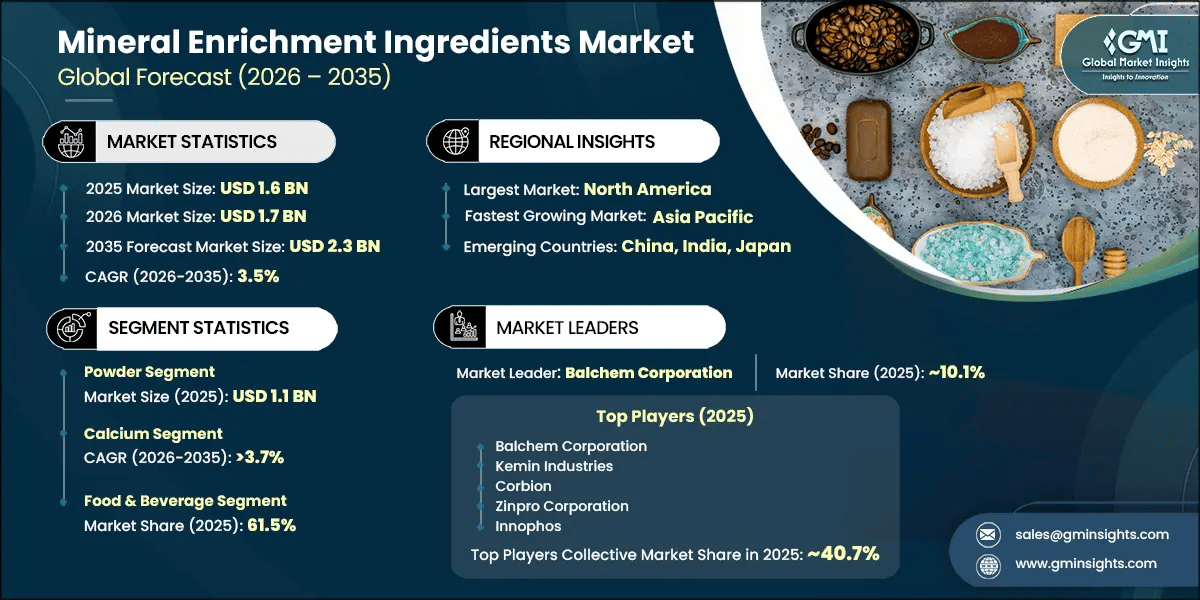 Mineral Enrichment Ingredients Market Research Report