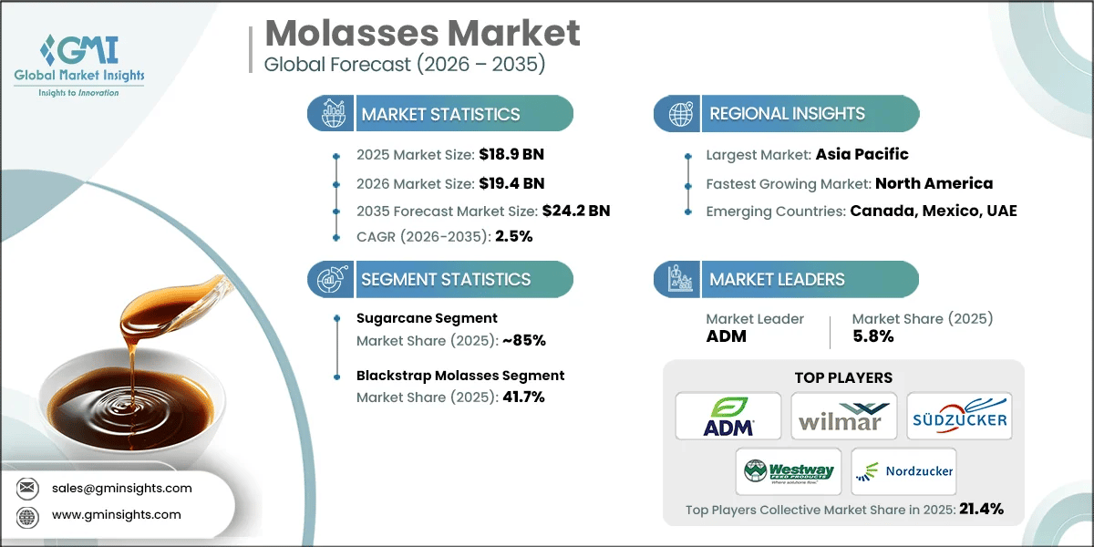 Molasses Market Research Report