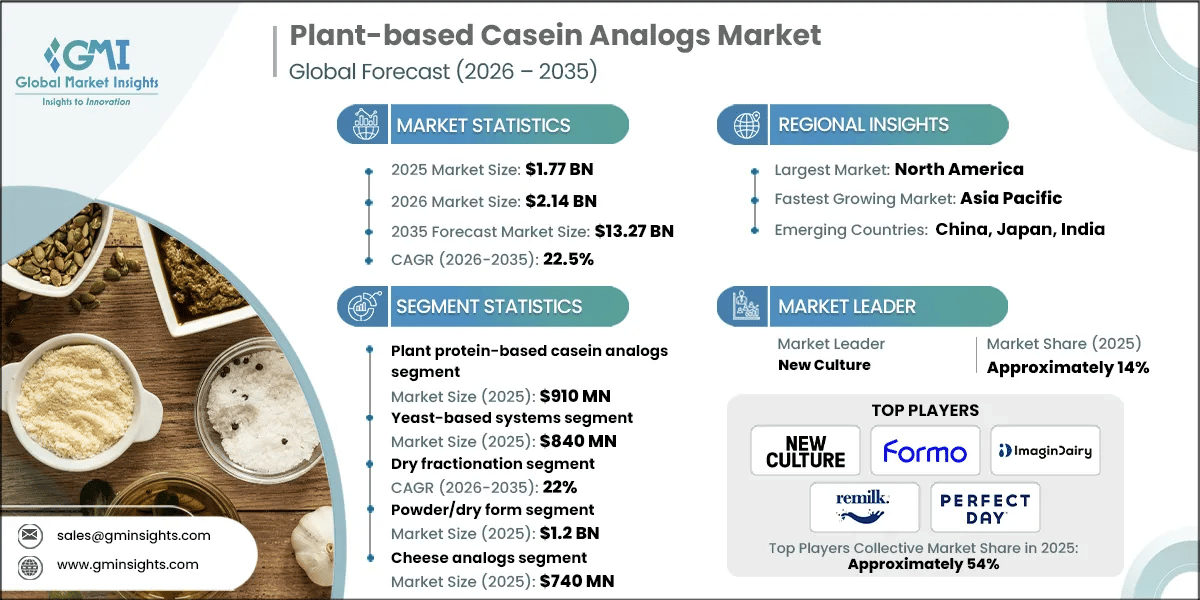 Plant-based Casein Analogs Market Research Report.webp