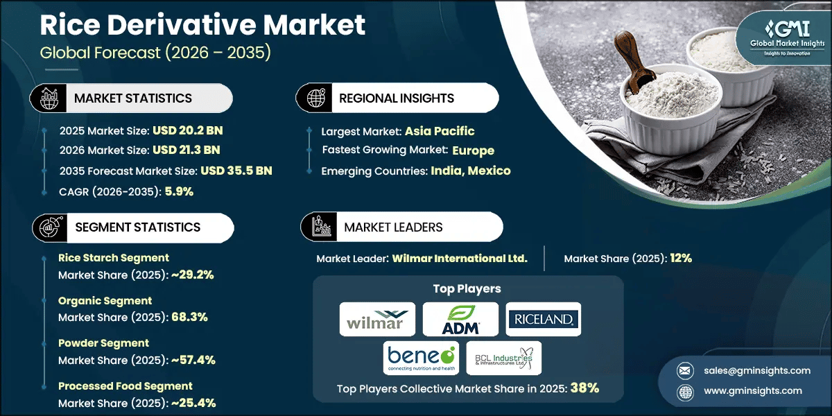 Rice Derivative Market Research Report