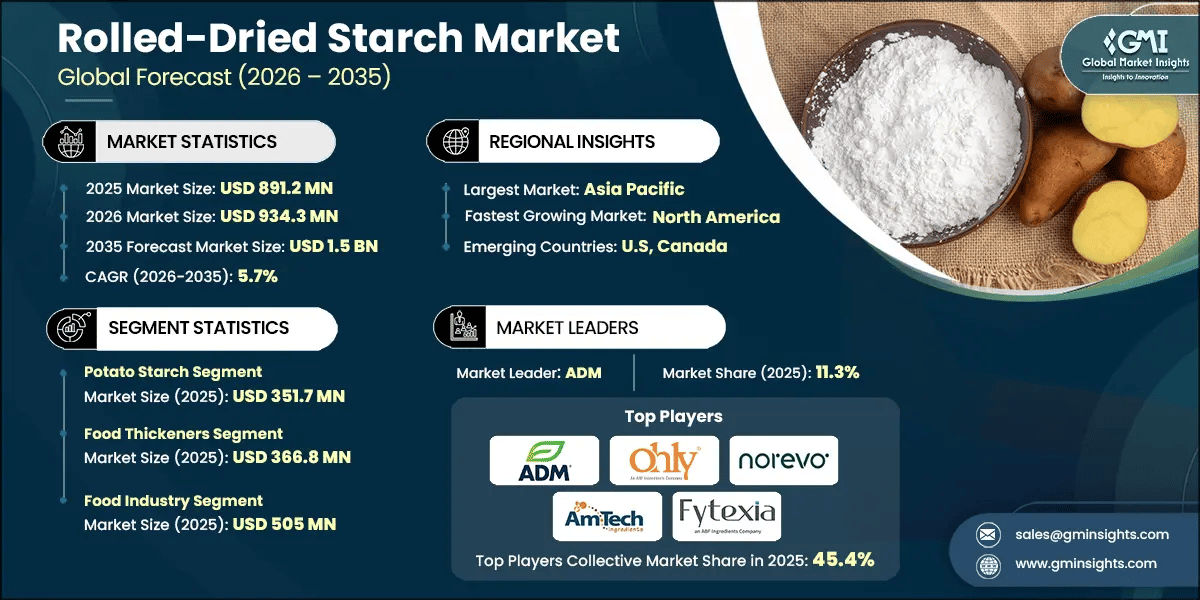 Rolled-Dried Starch Market Research Report