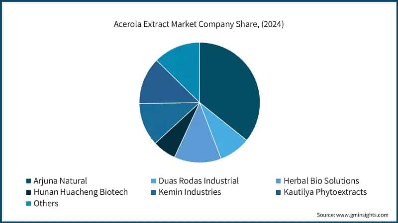 Acerola Extract Market Company Share, (2024)