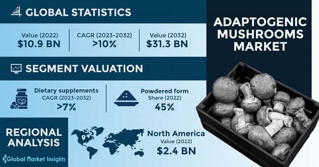 Adaptogenic Mushrooms Market 
