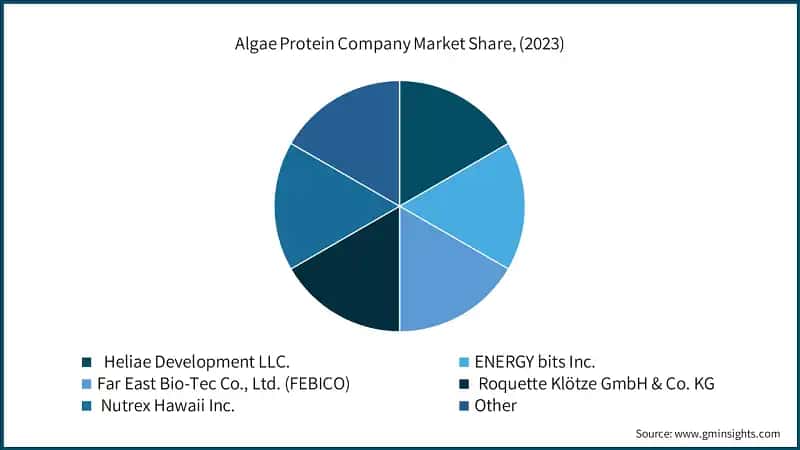 Algae Protein Company Market Share, (2023)