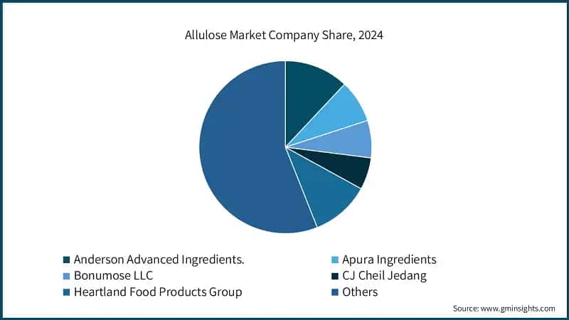 Allulose Market Company Share, 2024