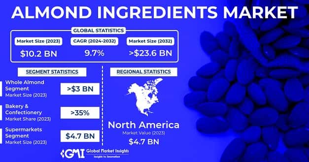 Almond Ingredients Market