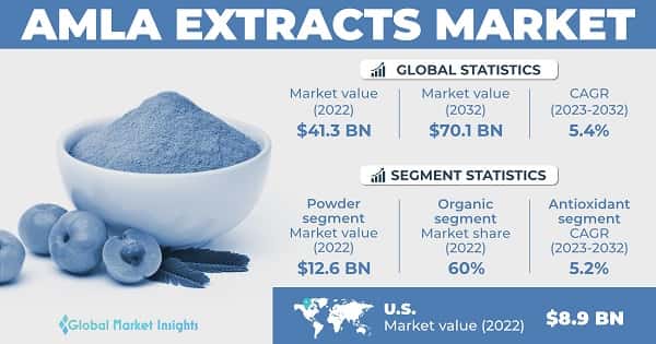 Amla Extracts Market 
