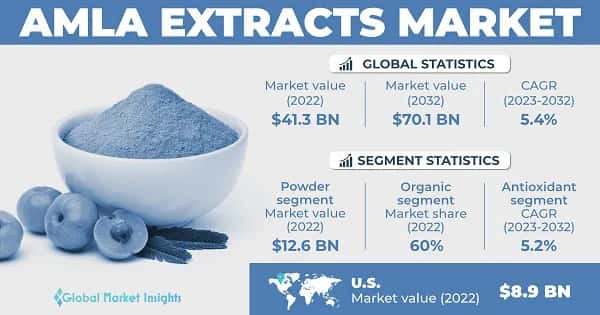 Amla Extracts Market 