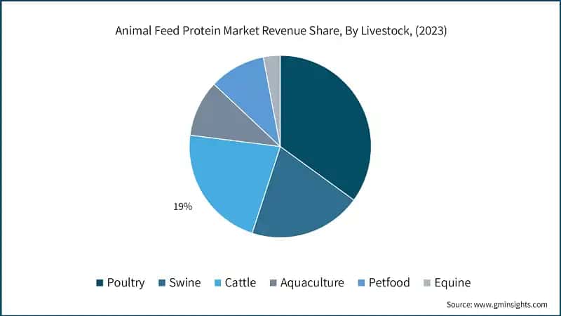 Animal Feed Protein Market Revenue Share, By Livestock, (2023)