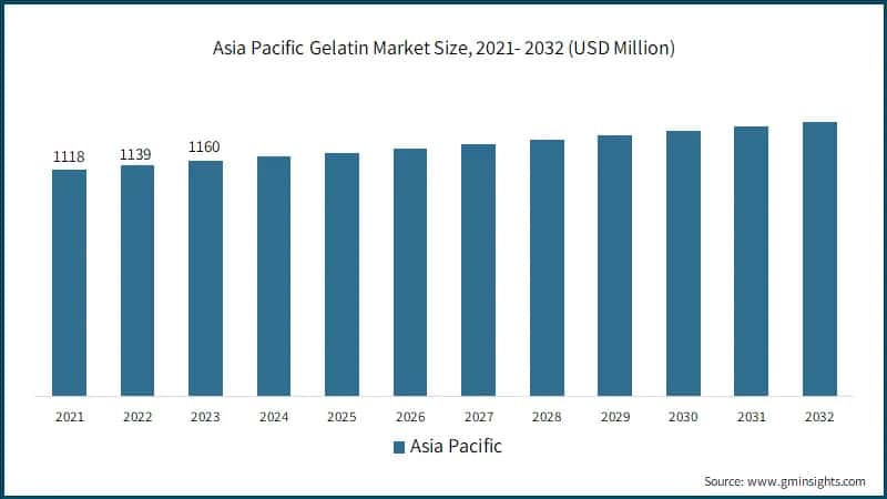 Asia Pacific Gelatin Market Size, 2021- 2032 (USD Million)