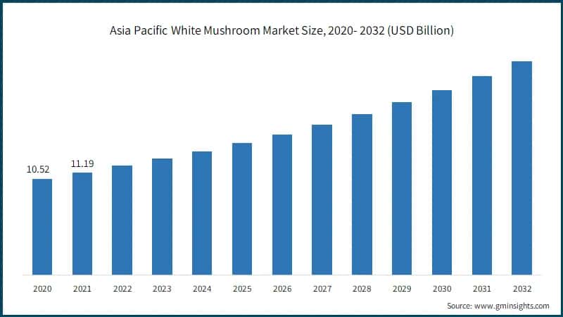 Asia Pacific White Mushroom Market Size, 2020- 2032 (USD Billion)