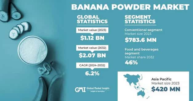 Banana Powder Market 