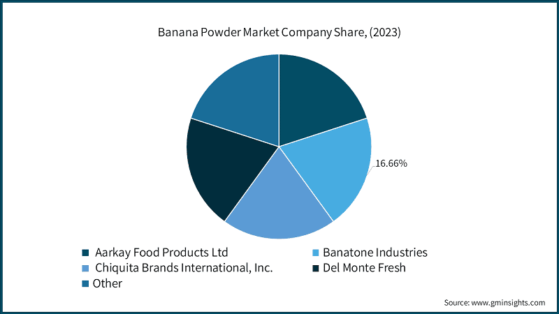 Banana Powder Market Company Share, (2023)