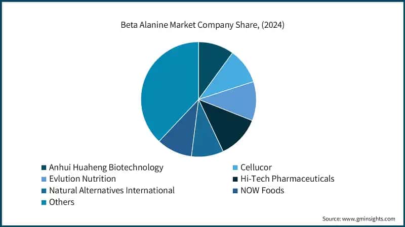 Beta Alanine Market Company Share, (2024)