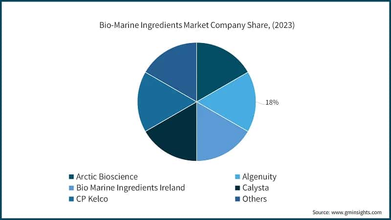 Bio-Marine Ingredients Market Company Share, (2023)